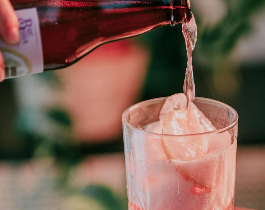 Día internacional de la kombucha