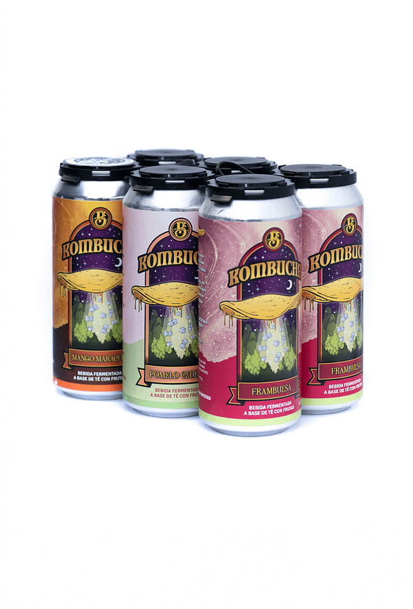 Pack kombucha